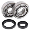 Kit roulements + spi de vilebrequin All Balls 24-1014 Suzuki RM85/80