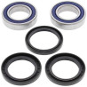 Wheel bearing kit Rear All Balls 25-1577 ETON VXL250