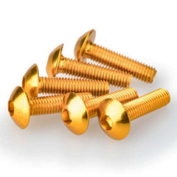 Vis tête bombée (x6) Puig M6x15mm