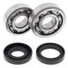 Kit roulements + spi de vilebrequin All Balls 24-1023 Yamaha YZ80/85
