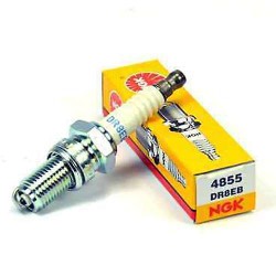 Bougie standard NGK DR8EB