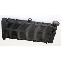 Water heater Bihr Honda CB600 HORNET 98-06