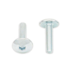 Vis tête bombée (x10) BOLT M5x0,80x12mm