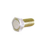 Magnetic screw for KOSO speedometer M6 x 24 (BF010600)