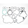 Full engine seals Tecnium 808318 KTM