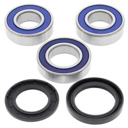 Kit rear wheel bearings + spi joints All Balls ZX7R ZX9R Z1000 ZX12R ZZR600/1400