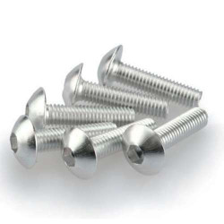 Vis tête bombée (x6) Puig M5x25mm