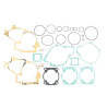 Full engine seals Tecnium P400155850011 Gas Gas