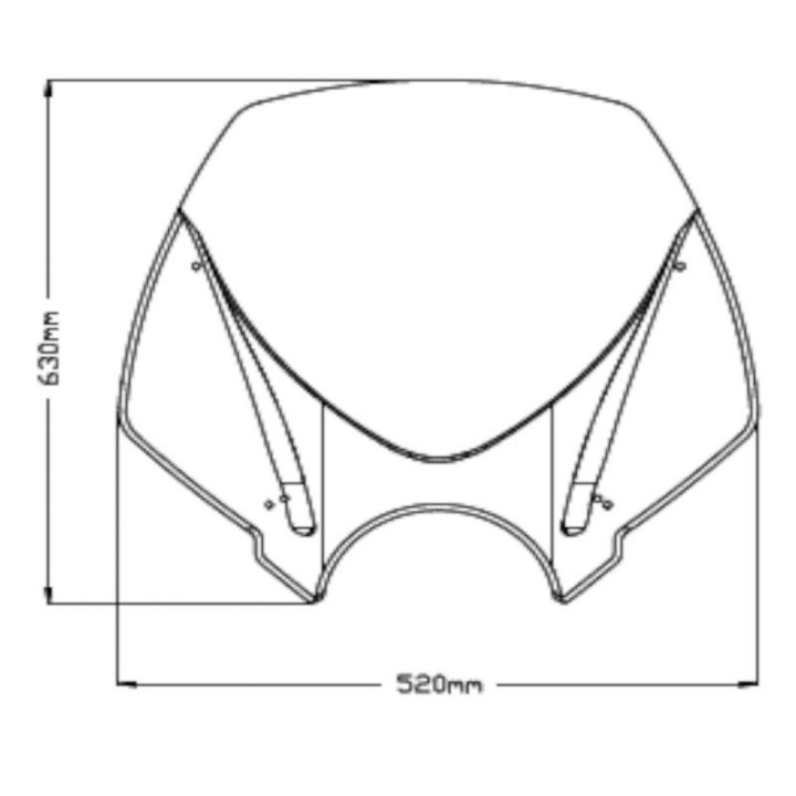 Windshield Puig NAKED NEW GENERATION (20527) BMW R18