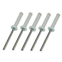 Rivets pop blanc 4x16mm (x5) pour plaque d'immatriculation