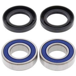 Front wheel bearing kit + All Balls spi seals 25-1403 Yamaha FZ6, FZ1, YZF-R6, R1