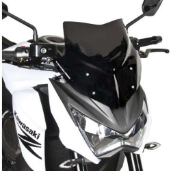 Saute-vent Barracuda AEROSPORT Kawasaki Z800