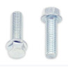 Vis à bride (x10) Bolt M6x100x20 tête hexagonale 8mm 