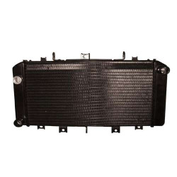 Radiateur d'eau adaptable Kawasaki Z750 04-06