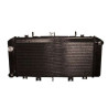 Adaptable water cooler Kawasaki Z750 04-06
