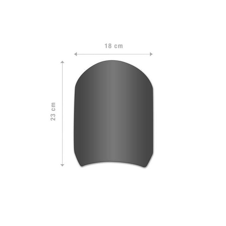 Barracuda CLASSIC windscreen (BT1300-C) BMW R NINE T