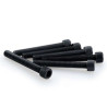 BTR screw (x6) M6x45mm Puig