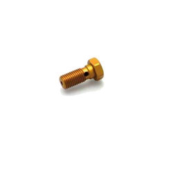 Vis creuse simple Speedbrakes M10x1.25 2
