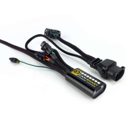 DENALI CANsmart BMW F Series harness (DNL.WHS.11902)