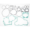 Full engine seals Tecnium 808323+324 KTM