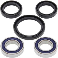 Front wheel bearing kit All Balls 25-1080 KTM EXC125 250 300 00-02 EXC400 00-03
