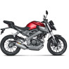 Ligne complète Akrapovic RACING Titane/Carbone Yamaha MT-125 / YZF-R125 -18