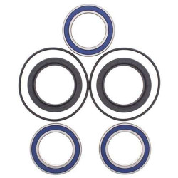 Kit roulements de roue Arrière All Balls 25-1560 KAWASAKI KFX450R