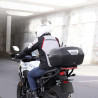 Top Case moto Shad SH44
