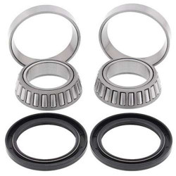 Kit roulements de roue Arrière All Balls 25-1151 POLARIS TRAIL BLAZER 330