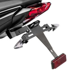 Support de plaque PUIG Triumph STREET TRIPLE 13-