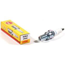 Standard NGK CR9E spark plug