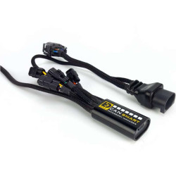 DENALI CANsmart harness BMW F750/F850/900GS K1600 (DNL.WHS.11702)