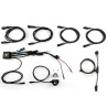 DENALI DialDim BMW R1250GS intelligent controller