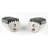 PASSAGER SW-Motech ION PAN AMERICA / BMW R1300GS footrests