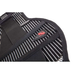 Ceinture lombaire Zandona COMFORT BELT PRO 2