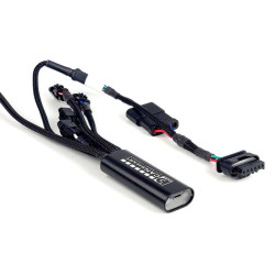 Faisceau DENALI CANsmart BMW R1300GS / GSA (DNL.WHS.25900)