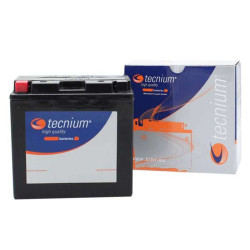 Tecnium BT9B-4 maintenance-free battery (YT9B-4)