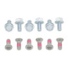 Bolt brake disc bolt kit (2009-YRTR) Yamaha YZ/YZ-F 125 to 450