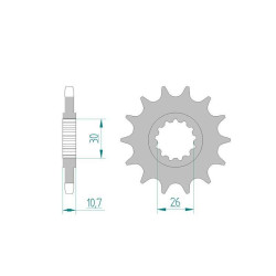 Pignon AFAM 15 dents pas 525 type 21607 MT-07 2