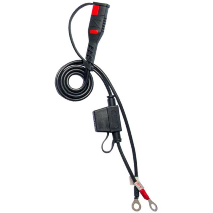 Chargeur de batterie BS BS60 12V 1/4/6A