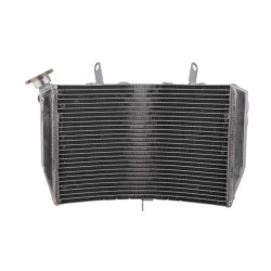 Brazoline water cooler Yamaha YZF-R1