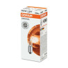 OSRAM H6W BAX9S license plate bulb