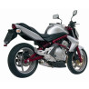 Silencieux homologué Mivv X-CONE Inox Kawasaki ER-6N/F 06-11 VERSYS 650 06-14