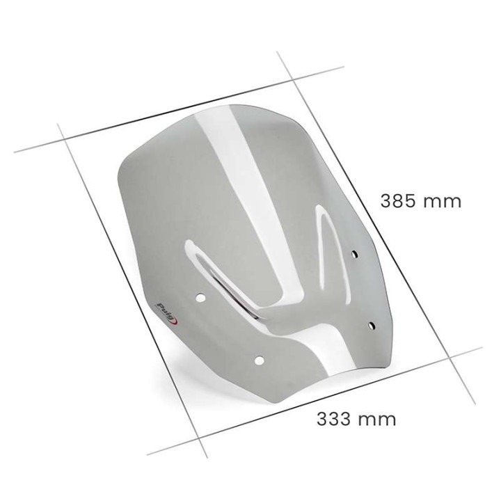 Puig Standard bubble (22014) BMW R1300GS
