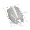 Puig Standard bubble (22014) BMW R1300GS