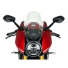 WRS SPORT bubble (TR007) Triumph SPEED TRIPLE 1200 RR