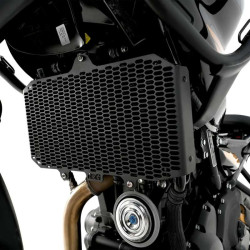 Radiator guard R&amp-G Black HIMALAYAN 450