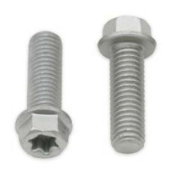 Vis Torx (x10) Bolt M8x125x25 tête hexagonale