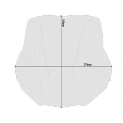 Bulle fumé Givi 5139S BMW F 900 R 2020-2026 2