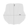 Bulle fumé Givi 5139S BMW F 900 R 2020-2026